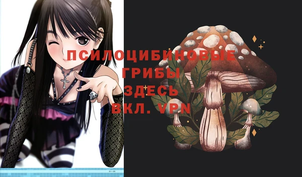 Альфа ПВП Абаза