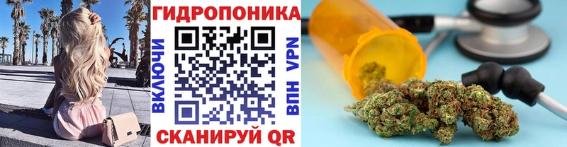 Бошки Шишки конопля  дарнет шоп  Шарья 
